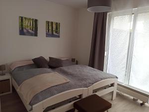 Un dormitorio con una cama y una ventana grande. en Ferienwohnung Löwenzahn, en Bad Harzburg