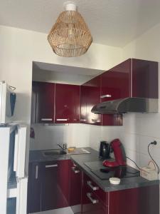 Η κουζίνα ή μικρή κουζίνα στο Appartement de standing au port de l’Aiguillon
