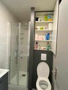 a bathroom with a shower stall and a toilet at Appartement calme in Beaumont