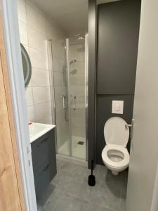 a bathroom with a shower and a toilet and a sink at Appartement calme in Beaumont