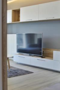 TV a/nebo společenská místnost v ubytování Capital Towers - Apartament Green z widokiem na rzekę