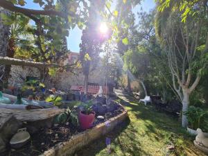 Ogród w obiekcie Finca Tropical