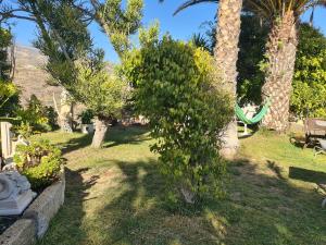 Ogród w obiekcie Finca Tropical