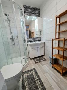 uma casa de banho com um chuveiro, um WC e um lavatório. em Villa Joška em Brela