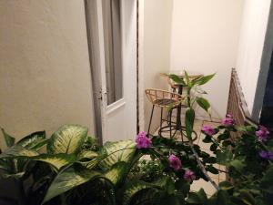 Zahrada ubytování Jolie chambre climatisée avec balcon chez l'habitant
