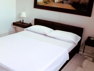 1 dormitorio con 1 cama blanca y 2 almohadas en Hotel Houston, en Bucaramanga