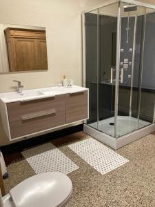 a bathroom with a shower and a toilet and a sink at Gîte d'Avalon Appartement 5 in Dinant +34 photos