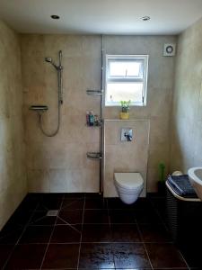 een badkamer met een douche, een toilet en een wastafel bij The Goat House 