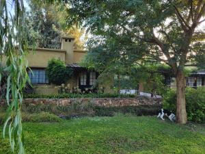 a cat sitting in the grass in front of a house at Posada del Santo Green & Rest - Cabañas in Salta