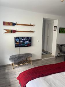 a living room with a tv and a red rug at Maple Lodge Apartments in Braşov