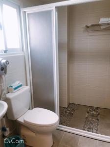 a bathroom with a toilet and a shower at Penghu Little Apple II in T'ien-hsiang