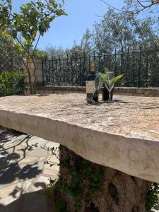 a stone bench with a plant sitting on it at Dionysus Apartments & Studios in Syvota