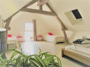 Gallery image of Loft centre ville de Montrichard Chateaux Zoo in Montrichard