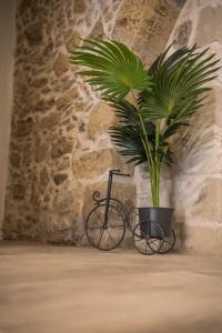 a plant in a black pot next to a wall at Dina's cottage,near balos and elafonisi in Kaloudhianá