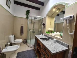 a bathroom with a toilet and a sink and a shower at Almendro in Arico Viejo