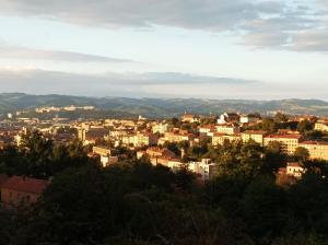 Stadtbild einer Stadt mit Gebäuden und Bergen in der Unterkunft Bienvenue chez Seamora et Maelia in Saint Etienne