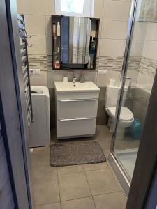 a bathroom with a sink and a toilet and a mirror at Dom na skraju lasu in Arciechow
