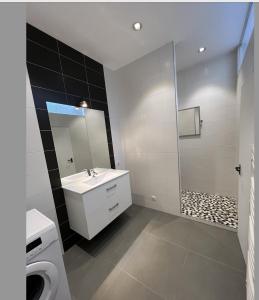 ein Badezimmer mit einem weißen Waschbecken und einer Dusche in der Unterkunft LE LOFT - 70m2 T3 Cronenbourg 6 pers in Straßburg