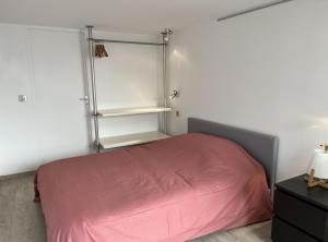 a bedroom with a pink bed and a shelf at LE LOFT - 70m2 T3 Cronenbourg 6 pers in Strasbourg