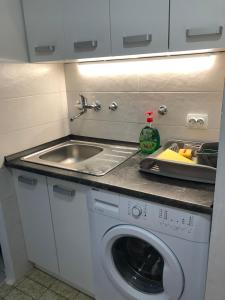 eine Küche mit einer Spüle und einer Waschmaschine in der Unterkunft Studio apartma Franca in Umag