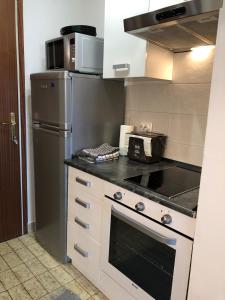 Kuchyňa alebo kuchynka v ubytovaní Studio apartma Franca