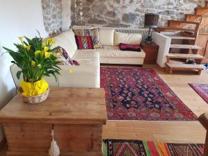 Sala de estar con sofá blanco y mesa de centro en Ronchet Baita Vanoi Trentino, en Ronco