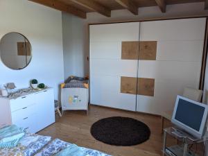 a bedroom with a large glass closet and a television at Landambiente Hage in Halbemond