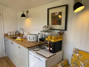 a kitchen with a counter top with a microwave at Ty Olwyn Bach, Coity Bach in Brecon