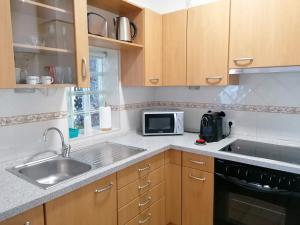 米尔芳提斯城Apartamento Estúdio Pinhalmar的配有水槽和微波炉的厨房