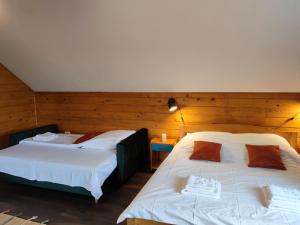 two beds in a room with wooden walls at Alpine Escape Studios in Măgura