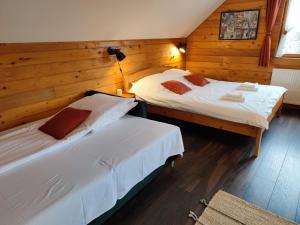 two beds in a room with wooden walls at Alpine Escape Studios in Măgura