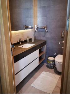 a bathroom with a sink and a toilet at Garden Grandresidence in Basaksehir