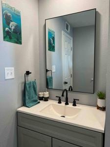 a bathroom with a sink and a large mirror at House of Manatees-Entire house with yard, fire pit, dog friendly in Crystal River