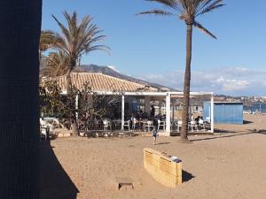 a person standing on a beach with a palm tree at Fuengirola Rooms Boliches Beach in Fuengirola