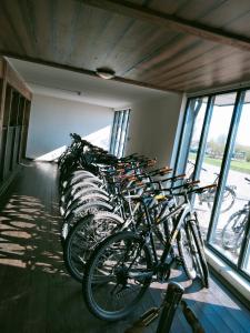 Attività di ciclismo presso lo chalet o nelle vicinanze