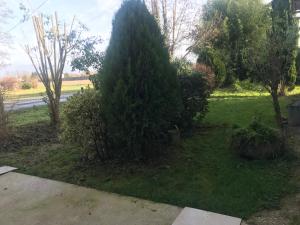 a pine tree in the yard of a house at Gite Factory - T2 de 51m2 5 min centre ville Bergerac - Les Bergeronnettes in Bergerac