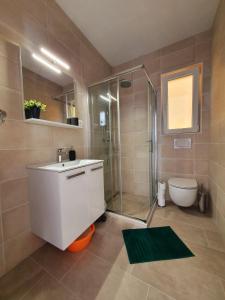 ein Bad mit einer Dusche, einem Waschbecken und einem WC in der Unterkunft Apartmani M&S in Sveta Nedelja
