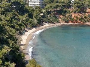 a view of a beach with trees and water at ΜΟΝΤΕΡΝΑ ΒΙΛΛΑ 2 ΕΠΙΠΕΔΩΝ-MODERN VILLA in Rafina