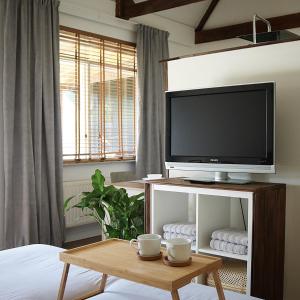 TV a/nebo společenská místnost v ubytování Bed and Breakfast 'Wij en de Zande' - kamer deluxe