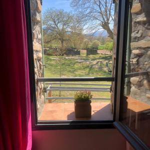 a window with a potted plant on a patio at Le Gast, Vaumeilh in Vaumeilh