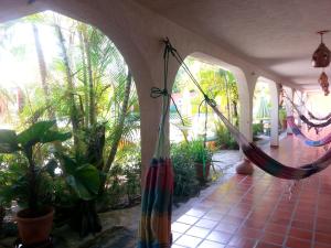 um alpendre com uma rede de descanso num quarto com plantas em Posada Las Ross em La Mira
