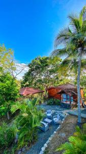 a resort with lounge chairs and a palm tree at Finca Los Caballos Montezuma in Montezuma