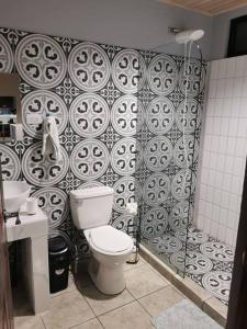 a bathroom with a toilet and a shower at Apartamento una habitación in San Isidro de El General