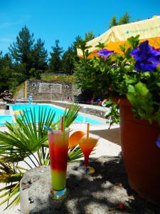 科尼察的住宿－科尼察全景酒店，两个鸡尾酒坐在游泳池旁边的岩石上