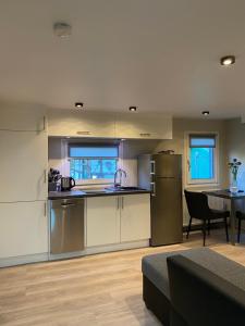 a kitchen with stainless steel appliances and a table at S-CHALET Camping mit Comfort im Schwarzwald in Steinach