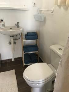 a bathroom with a white toilet and a sink at HACIENDA LA MACARENA DE SEVILLA in Cantillana