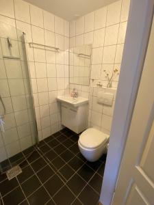 a bathroom with a toilet and a sink at Grønnegade - tæt på centrum in Esbjerg