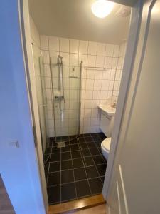 a bathroom with a shower and a toilet at Grønnegade - tæt på centrum in Esbjerg