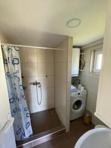 a bathroom with a shower and a washing machine at Apartman Magdalena in Banja Koviljača