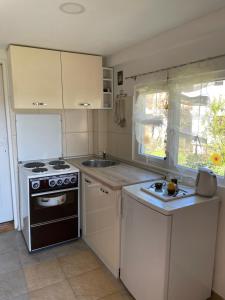 a small kitchen with a stove and a sink at Apartman Magdalena in Banja Koviljača